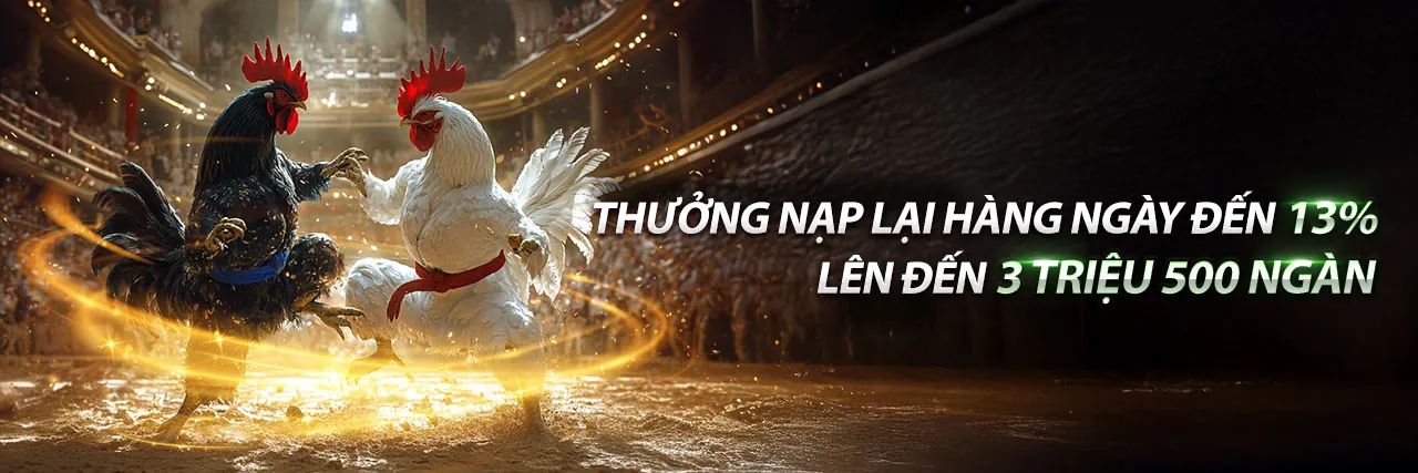 Cá cược thể thao nwe88